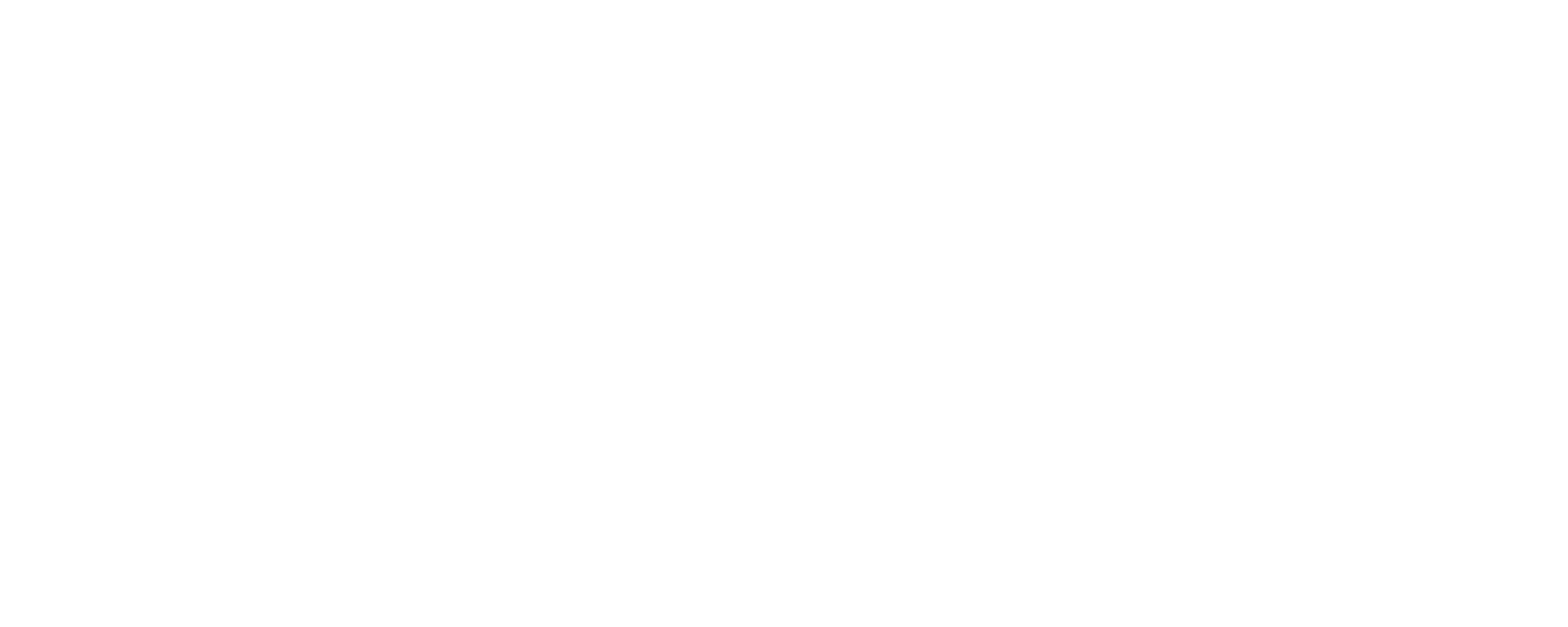 BVDK Logo